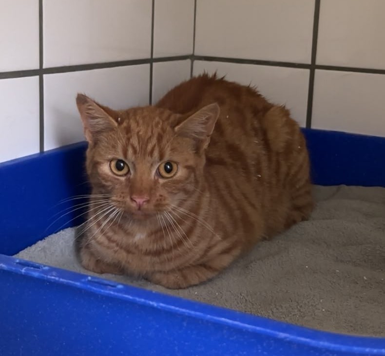 Box 5 1 Kater