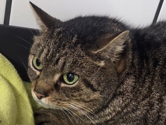 Dirka (gerne mit Diego)