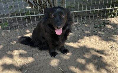 Luna (reserviert)