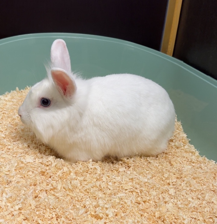 CjUKMVNuYXBjaGF0LzEzLjY0LjMuMCAoaVBob25lMTUsMjsgaU9TIDI2LjAuMTsgZ3ppcCkgAg==