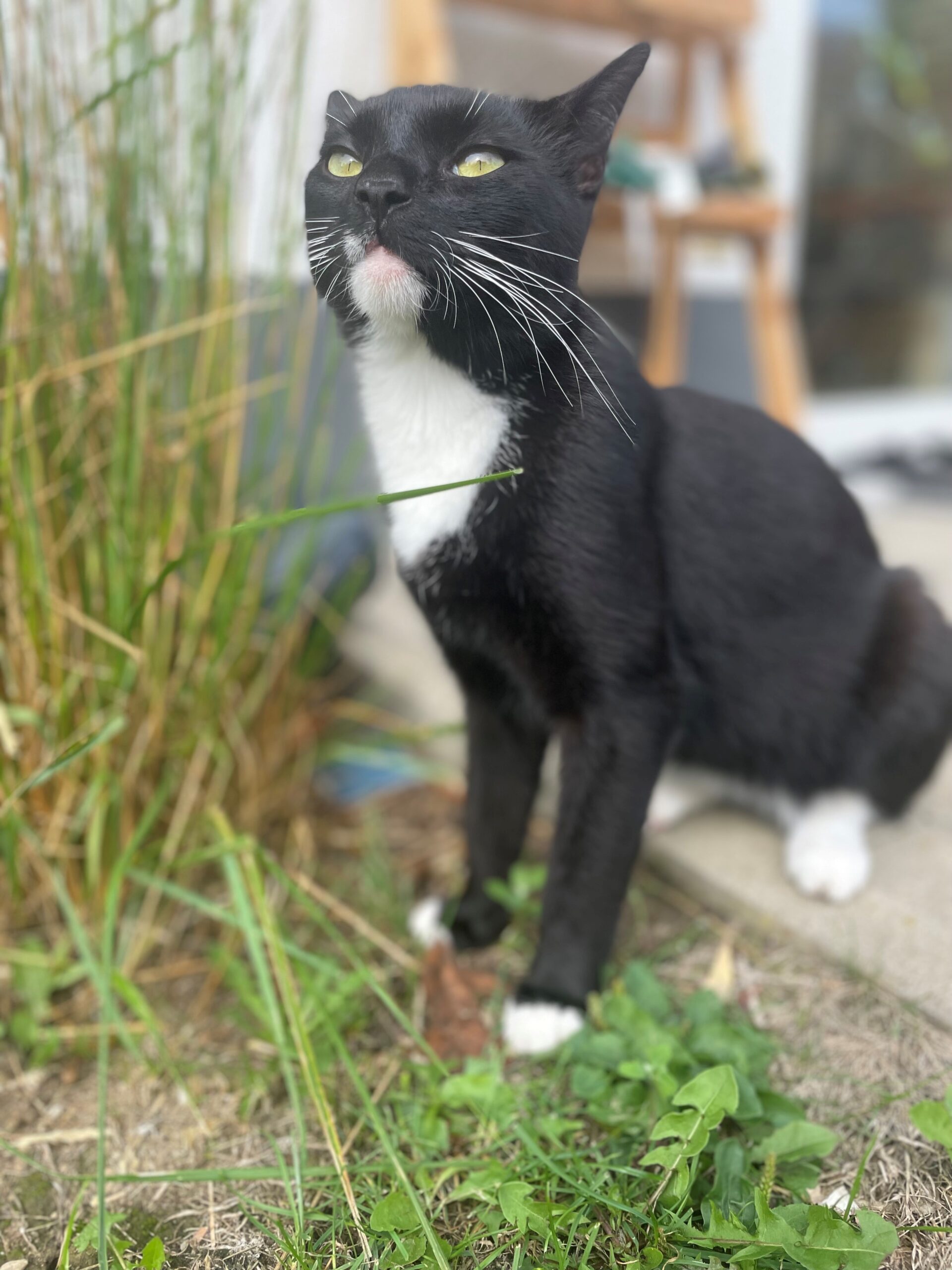 Monty3