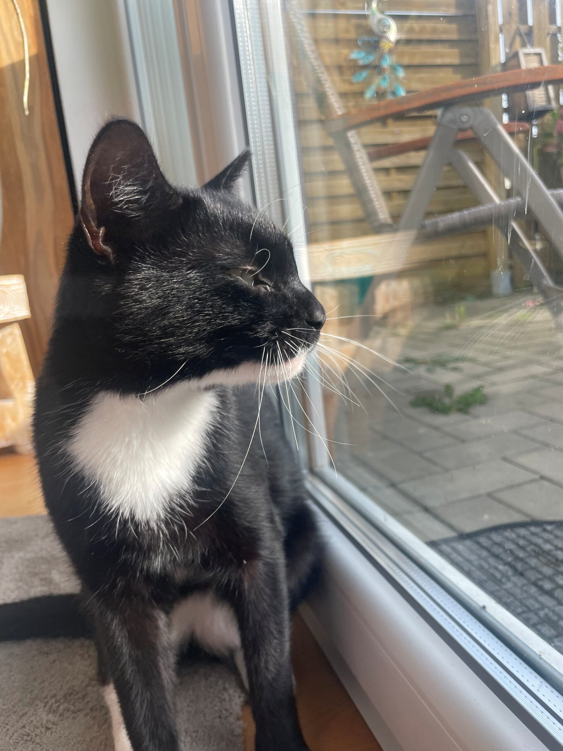 Monty4