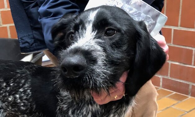 Günther ( reserviert )