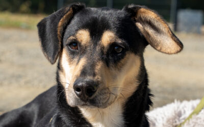 Marley (reserviert)