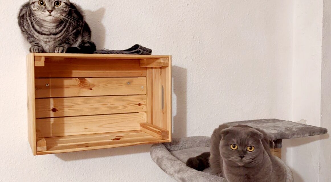 Aria und Minka