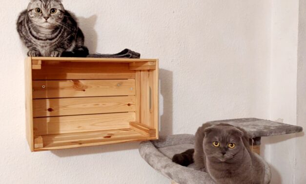 Aria und Minka