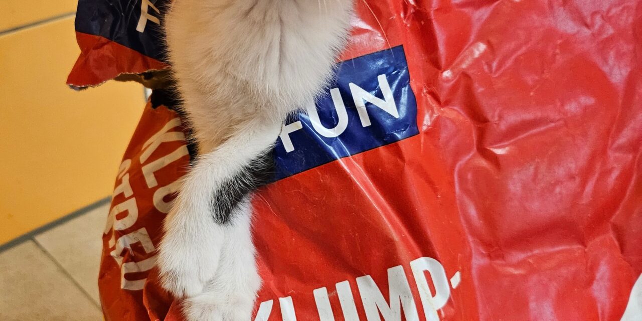 Wir wünschen uns was…