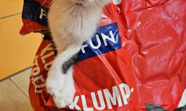 Wir wünschen uns was…