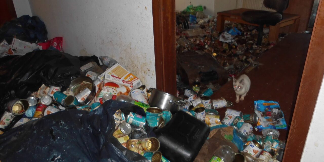 Horror-Wohnung mit 33 Katzen