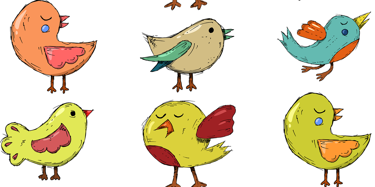 149 Wellensittiche abzugeben