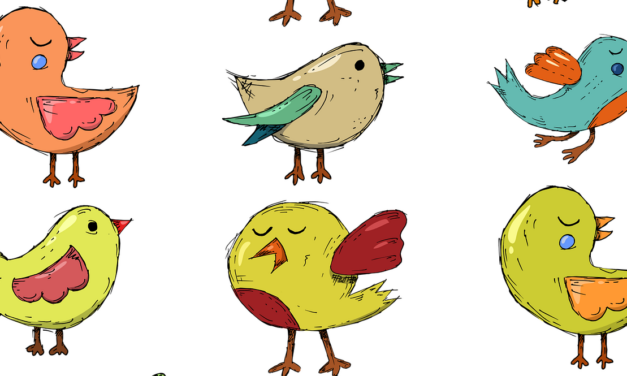 149 Wellensittiche abzugeben