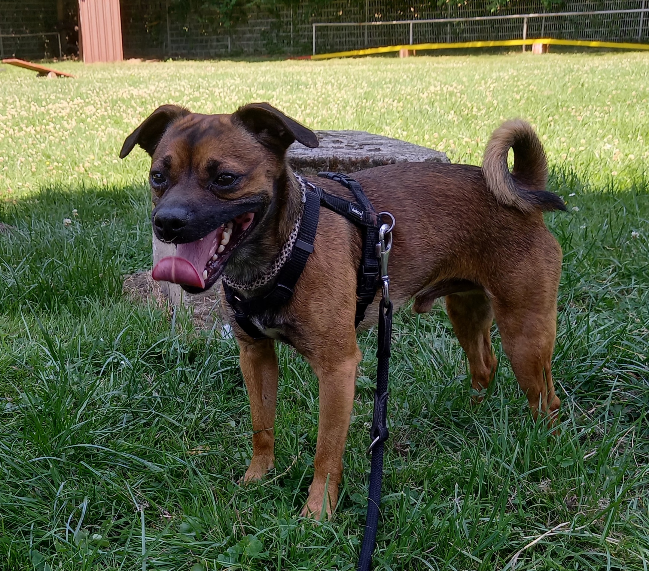 cooper3