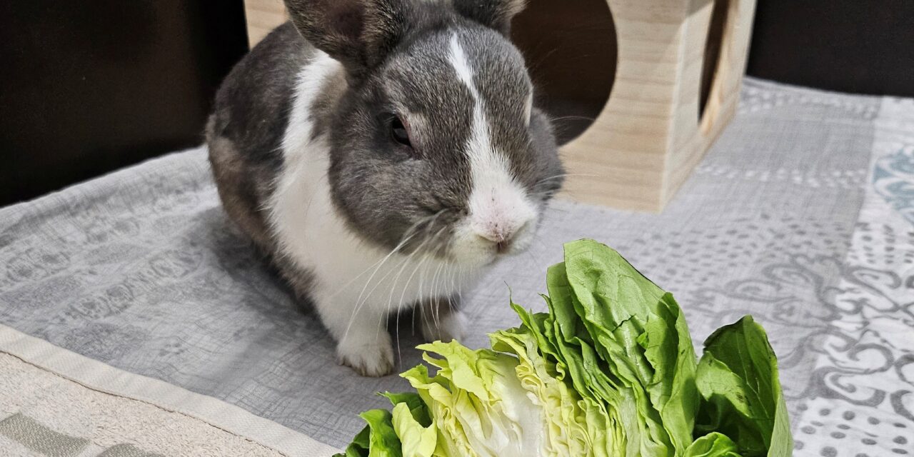 Fred