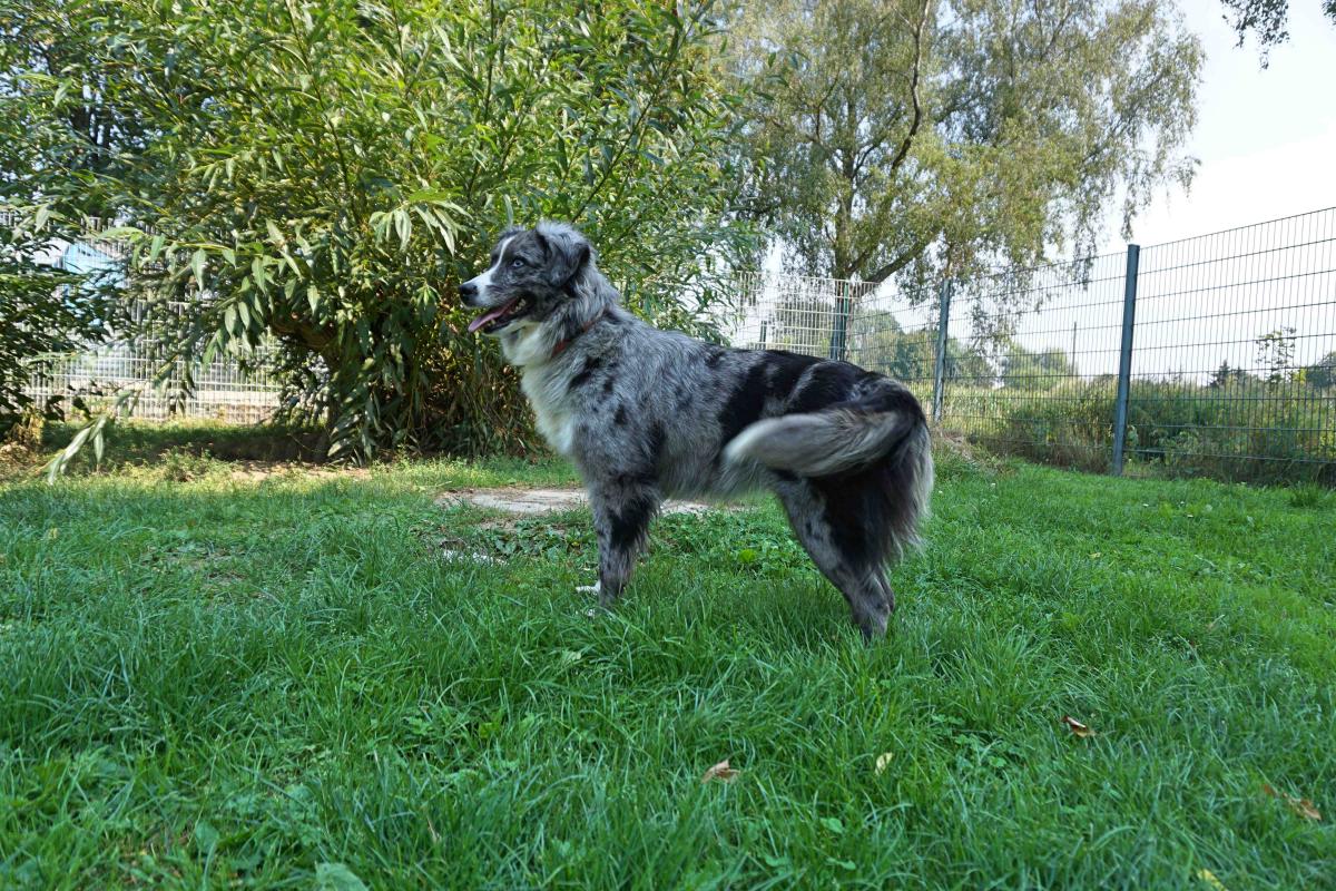 Huendin Gracie_103