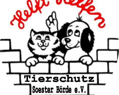 Jahreshauptversammlung 2026