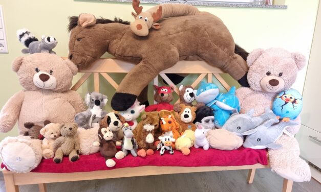 Führungen durchs Tierheim