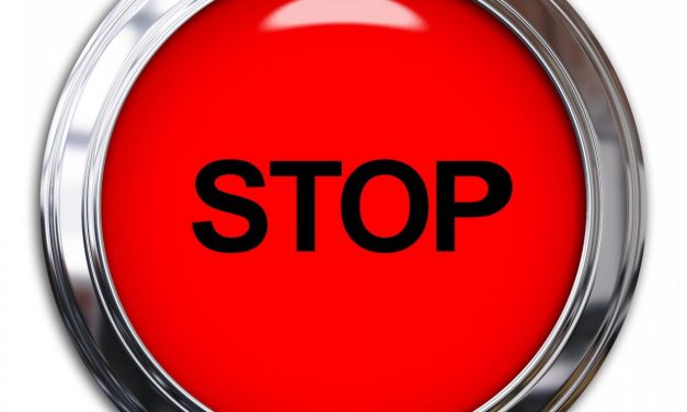 Aufnahmestop für Katzen!